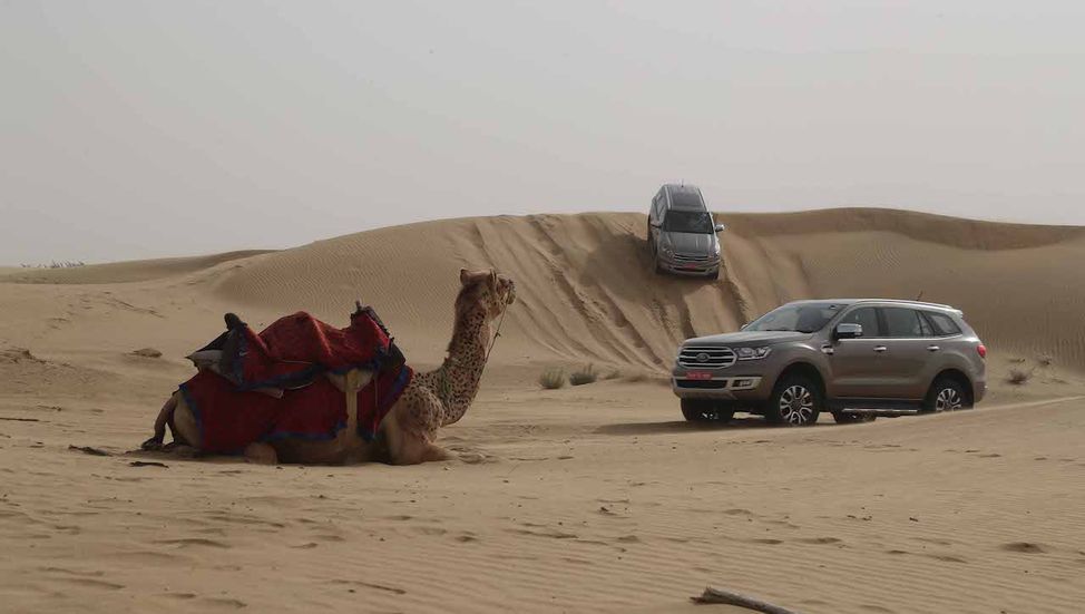 2019-ford-endeavour-review-images-desert-posing-wi-6657.jpg