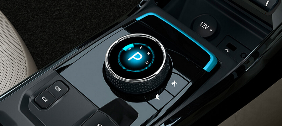 6_TATA-EV_LM_Jewelled-Control-Knob.jpg