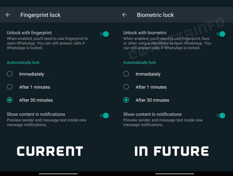 BIOMETRIC_LOCK_ANDROID-768x580.png