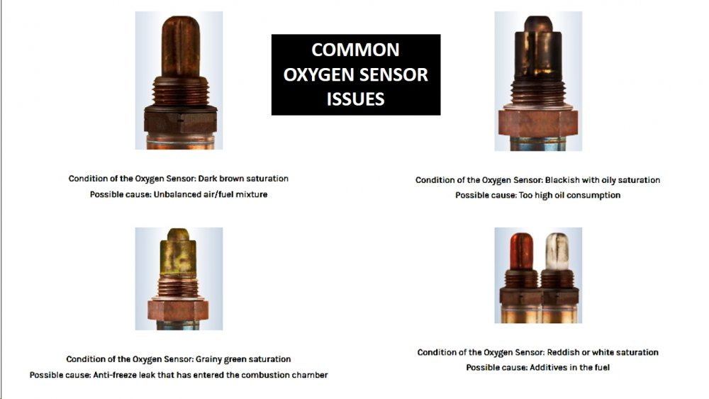 Car O2 Sensor.jpg