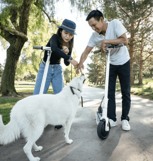 okai-neon-e-scooter-with-dog.png