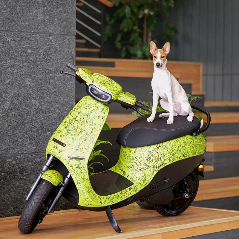 ola-s1-pro-pet-dog-2.jpg