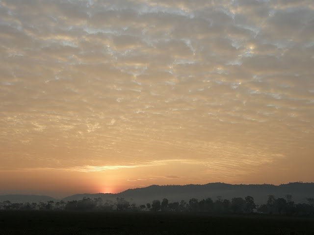 Sunrise at Kazironga.JPG