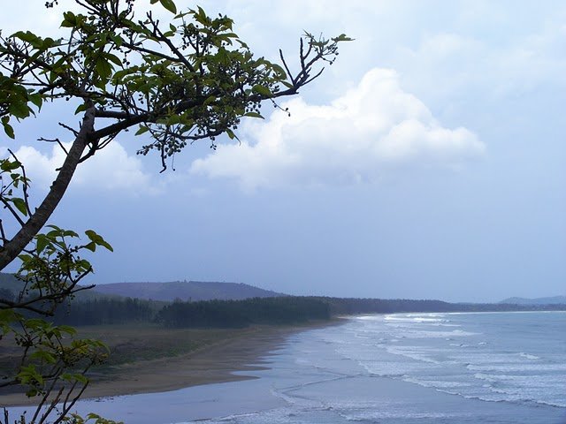 Konkan Coast.jpg