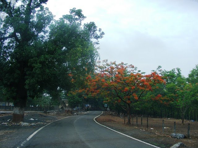 The road to Matheran.jpg