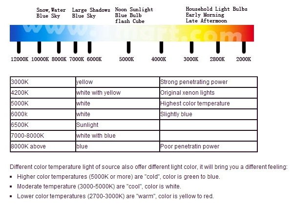 car led 5.jpg