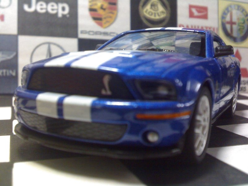 Shelby2.jpg