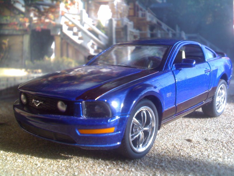 mustang scene1.jpg