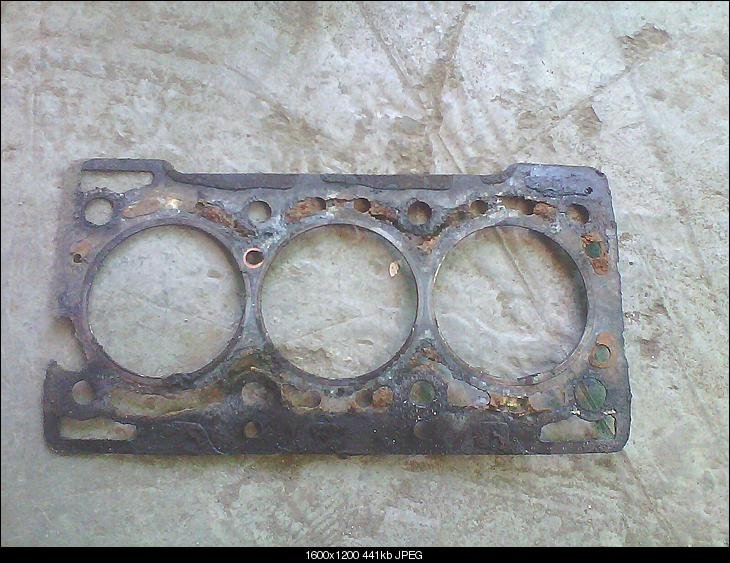 Head Gasket.jpg