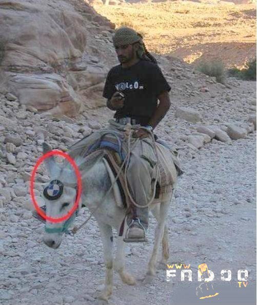 donkey_bmw.jpg