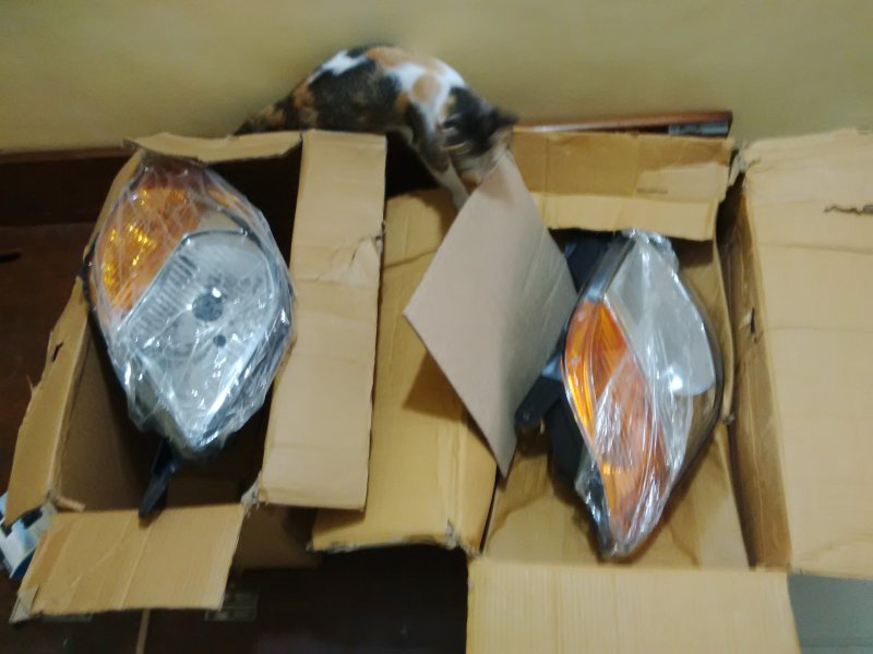 Tata Nano Headlamp Assemblies.jpg