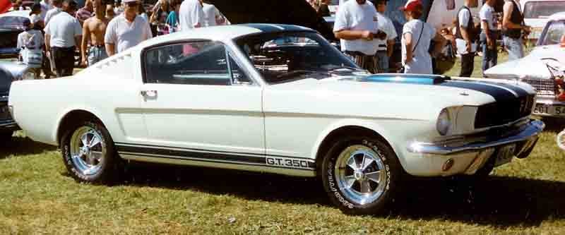 shelby mustang gt350.jpg