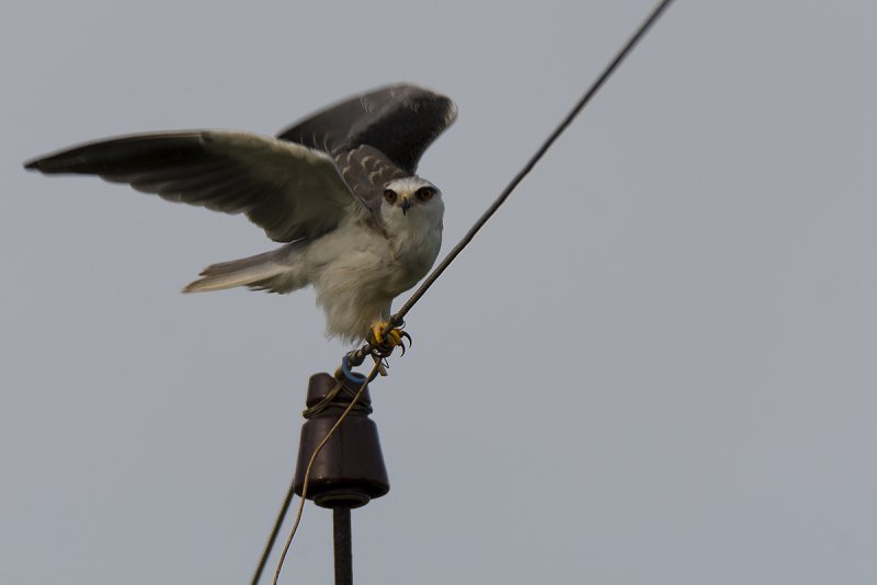 DSC_3405.jpg