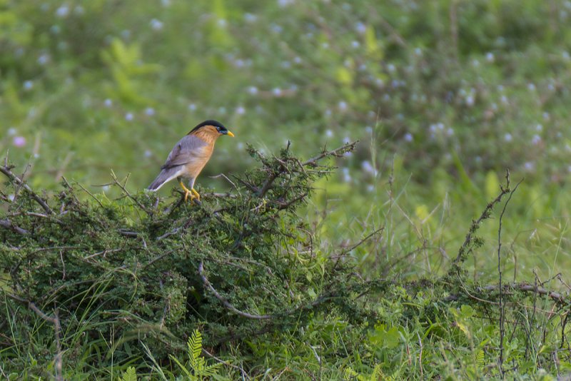 DSC_3340.jpg