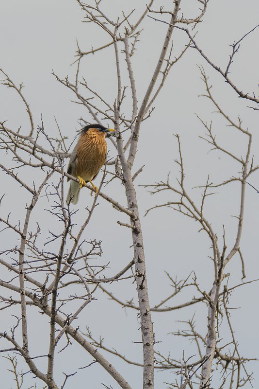 DSC_3327.jpg
