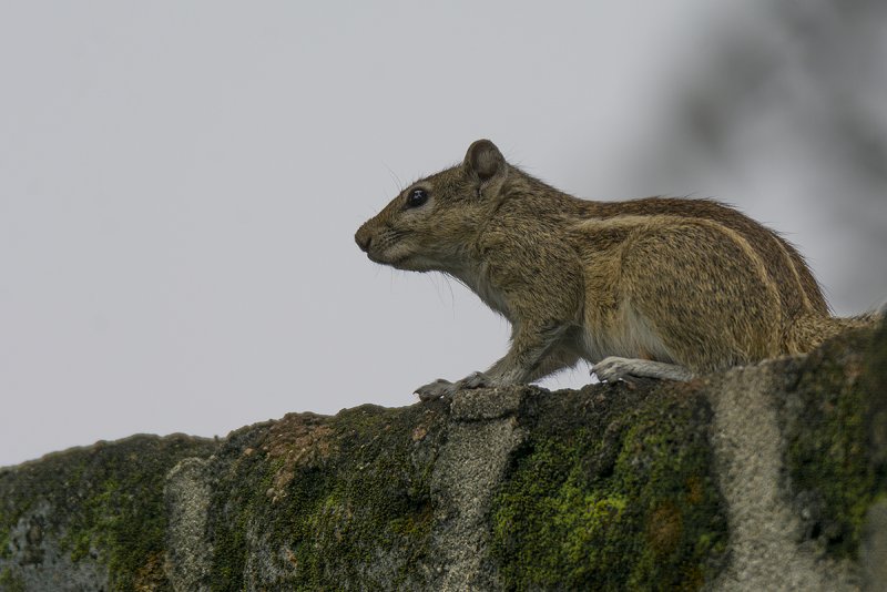 DSC_4015.jpg