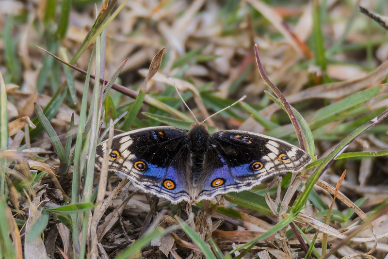 DSC_5356.jpg
