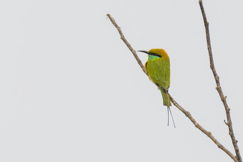 DSC_5696.jpg