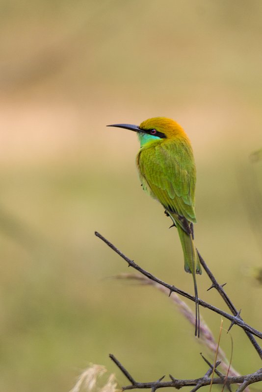 DSC_5714.jpg