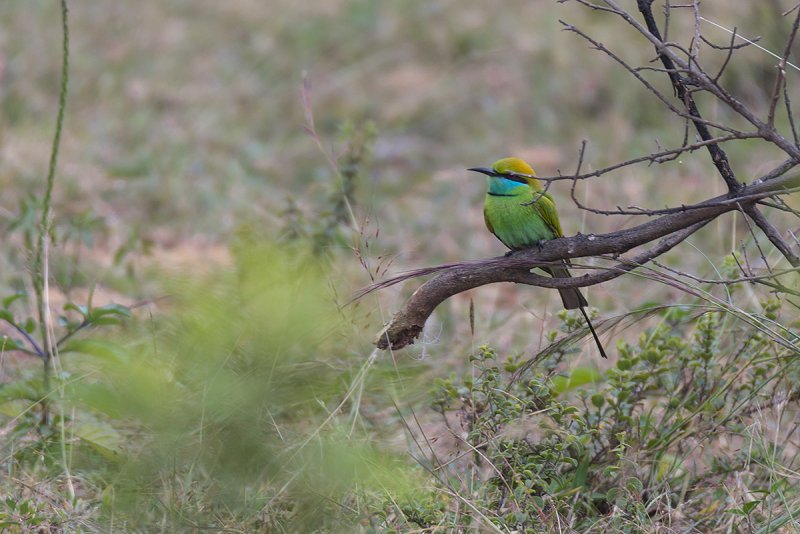 DSC_5765.jpg