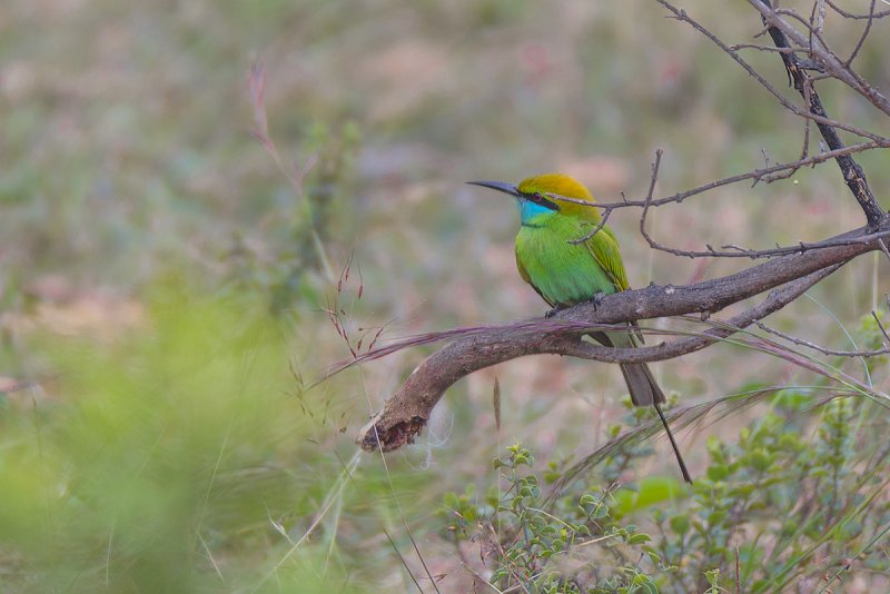 DSC_5766.jpg