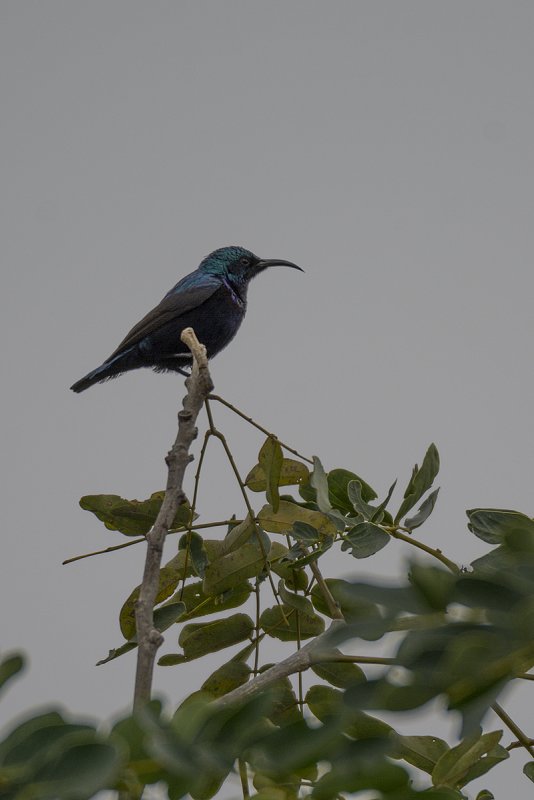 DSC_4845.jpg