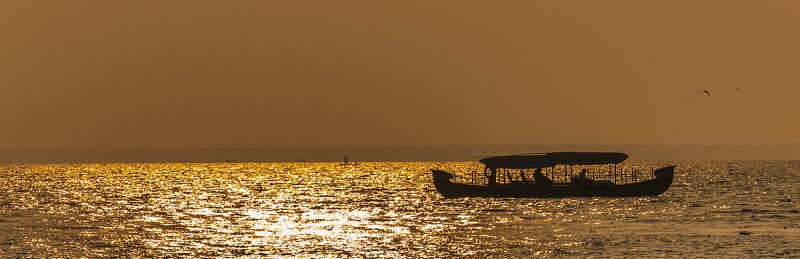 DSC_0097.jpg