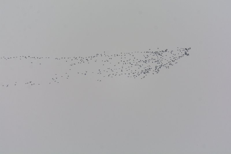 DSC_5890.jpg