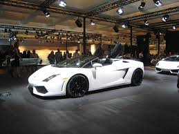 GALLARDO 6.jpg