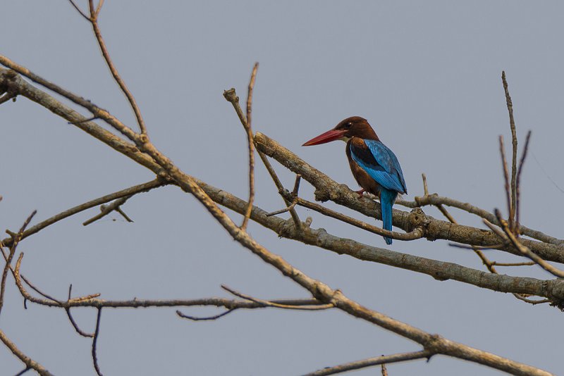 DSC_7715.jpg