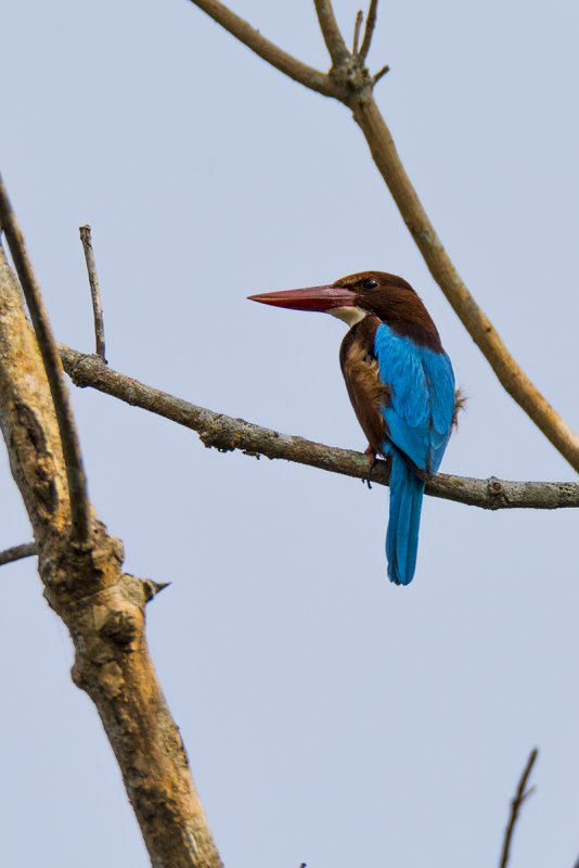 DSC_7722.jpg
