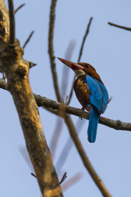 DSC_7728.jpg