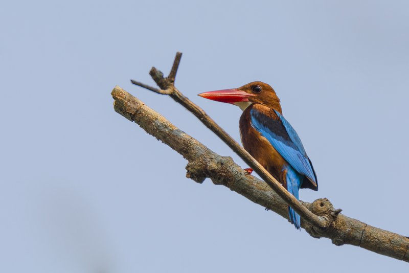 DSC_7733.jpg
