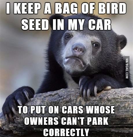 Cant-fit-your-car-in-one-space-Well-I-hope-you-dont-mind-bird-sht-on-your-car.jpg