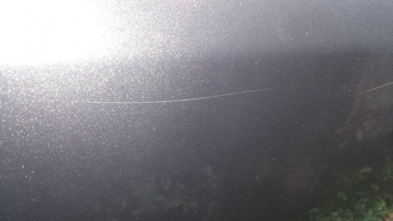 20150917_124401.jpg