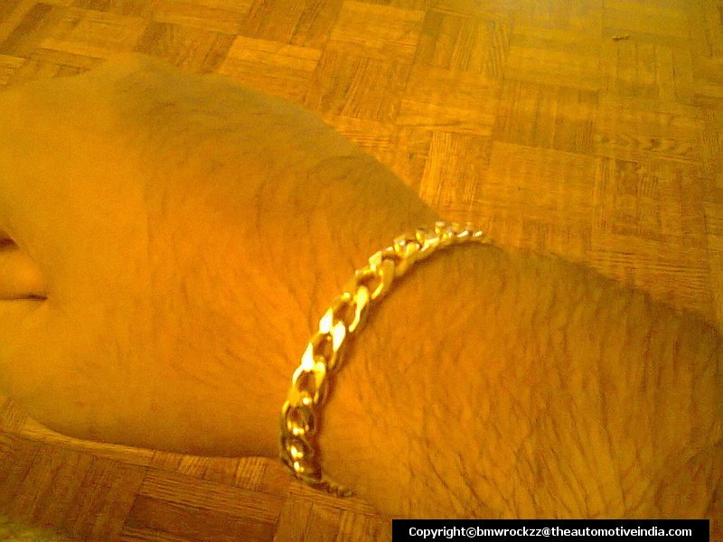 My Lucky Charm --- My Bracelet Picture 3.jpg