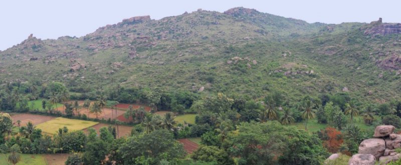 Balamathi_hills_top_view.jpg