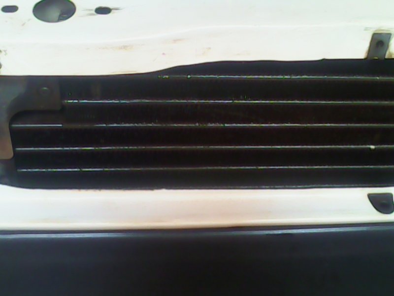 17 - After Rinsing the radiator.jpg