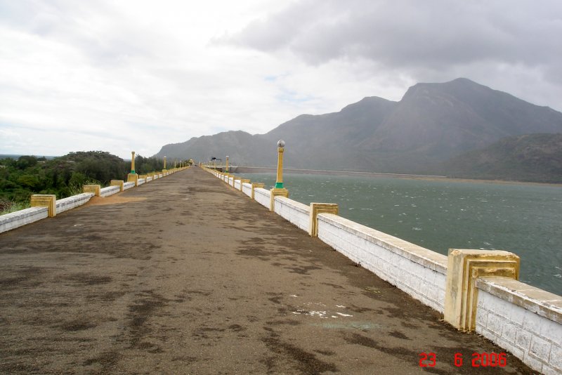DSC01042 - Copy.JPG