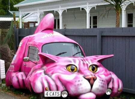 cat car.jpg