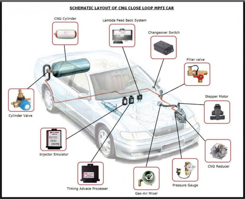 Maruti Zen MPFI 2006 CNG Installation | The Automotive India