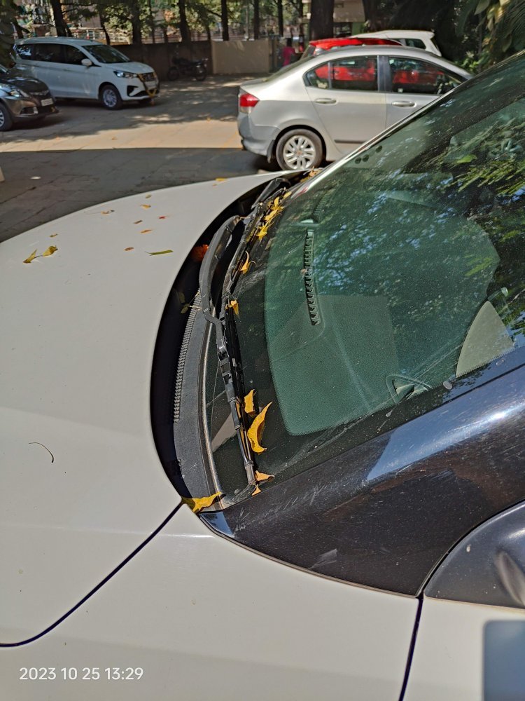 1. Leaves on the wiper arm and cown panel.jpg