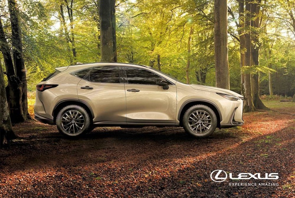 Lexus NX .jpg