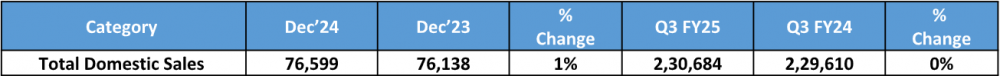 Tata-Motors-Domestic-Sales-December-2024.png