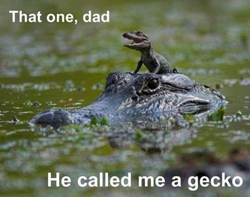 gecko crocodile.jpg