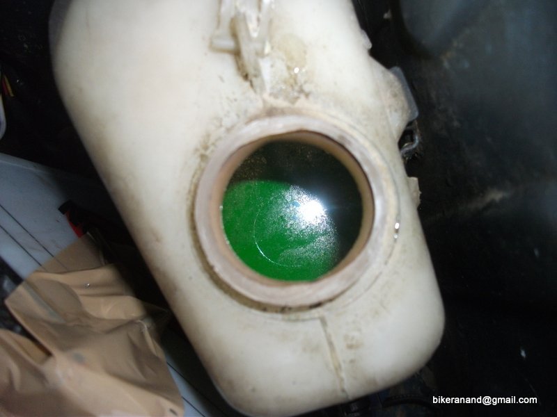 coolant with oil.JPG