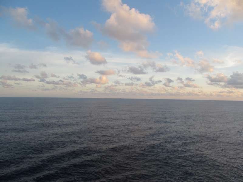 IMG_1750-800.jpg