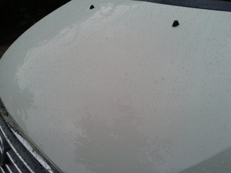 2012-10-13 17.19.35.jpg